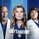 You are the Blood - Grey's Anatomy from Grey's Anatomy, Season 18