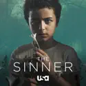 The Sinner, Season 2 cast, spoilers, episodes, reviews