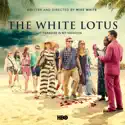 Arrivals - The White Lotus: Miniseries from The White Lotus, Season 1
