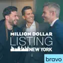 Million Dollar Listing: New York, Season 7 cast, spoilers, episodes and reviews