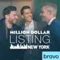 Million Dollar Listing: New York, Season 7