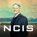 NCIS, Season 15 watch, hd download