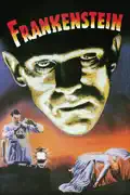 Frankenstein (1931) reviews, watch and download