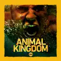 Animal Kingdom, Season 3 watch, hd download