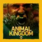 Animal Kingdom, Season 3
