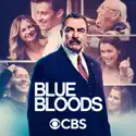 Blue Bloods, Season 12 cast, spoilers, episodes and reviews