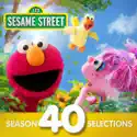 Wild Nature Survivor Guy. Episode 4190 - Sesame Street from Sesame Street, Selections from Season 40