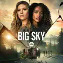 Big Sky, Season 2 release date, synopsis and reviews