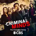 Criminal Minds, The Complete Series cast, spoilers, episodes, reviews