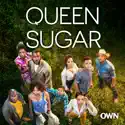 Queen Sugar, Season 3 watch, hd download