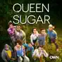Queen Sugar, Season 3