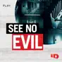 See No Evil, Season 7
