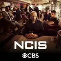 Birds of a Feather - NCIS from NCIS, Season 19