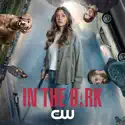 In The Dark, Season 3 cast, spoilers, episodes, reviews
