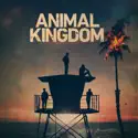 Animal Kingdom, Season 5 watch, hd download
