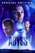 The Abyss summary, synopsis, reviews