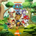 Paw Patrol, Vol. 20 cast, spoilers, episodes and reviews