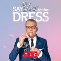 Say Yes to the Dress, Season 22 cast, spoilers, episodes, reviews