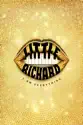 Little Richard: I Am Everything summary and reviews