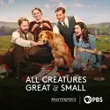 All Creatures Great and Small, Season 4 reviews, watch and download