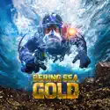 Bering Sea Gold, Season 17 reviews, watch and download