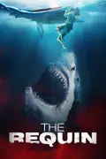 The Requin summary, synopsis, reviews