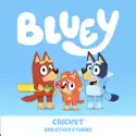 Cricket - Bluey from Bluey, Cricket and Other Stories