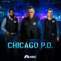 Chicago PD, Season 11 reviews, watch and download