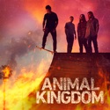 Pressure and Time - Animal Kingdom from Animal Kingdom, Season 6