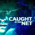 Caught in the Net, Season 2 release date, synopsis and reviews