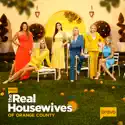 Friendship Overboard - The Real Housewives of Orange County from The Real Housewives of Orange County, Season 17