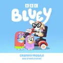 The Decider - Bluey from Bluey, Granny Mobile and Other Stories