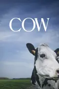 Cow summary, synopsis, reviews