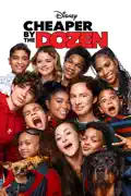 Cheaper by the Dozen (2022) summary, synopsis, reviews