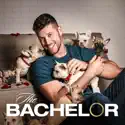 The Bachelor, Season 26 cast, spoilers, episodes, reviews