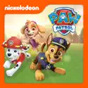 PAW Patrol, Vol. 18 release date, synopsis and reviews