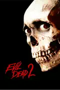 Evil Dead 2 summary, synopsis, reviews
