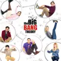 The Big Bang Theory: The Complete Series tv series
