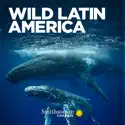 Wild Latin America, Season 1 release date, synopsis, reviews