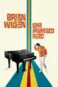 Brian Wilson: Long Promised Road summary and reviews