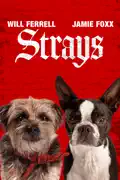Strays (2023) reviews, watch and download