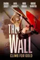 The Wall - Climb for Gold summary and reviews