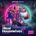 The Real Housewives of Miami ('21), Season 1 cast, spoilers, episodes, reviews