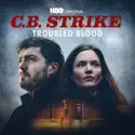 CB Strike: Troubled Blood cast, spoilers, episodes and reviews