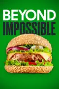 Beyond Impossible summary, synopsis, reviews