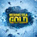 Bering Sea Gold, Season 16 release date, synopsis and reviews