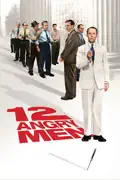 12 Angry Men summary, synopsis, reviews