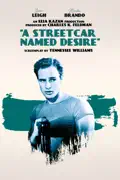 A Streetcar Named Desire summary, synopsis, reviews