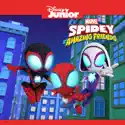 Spidey and his Amazing Friends, Vol. 4 watch, hd download