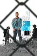 Cool Hand Luke summary, synopsis, reviews